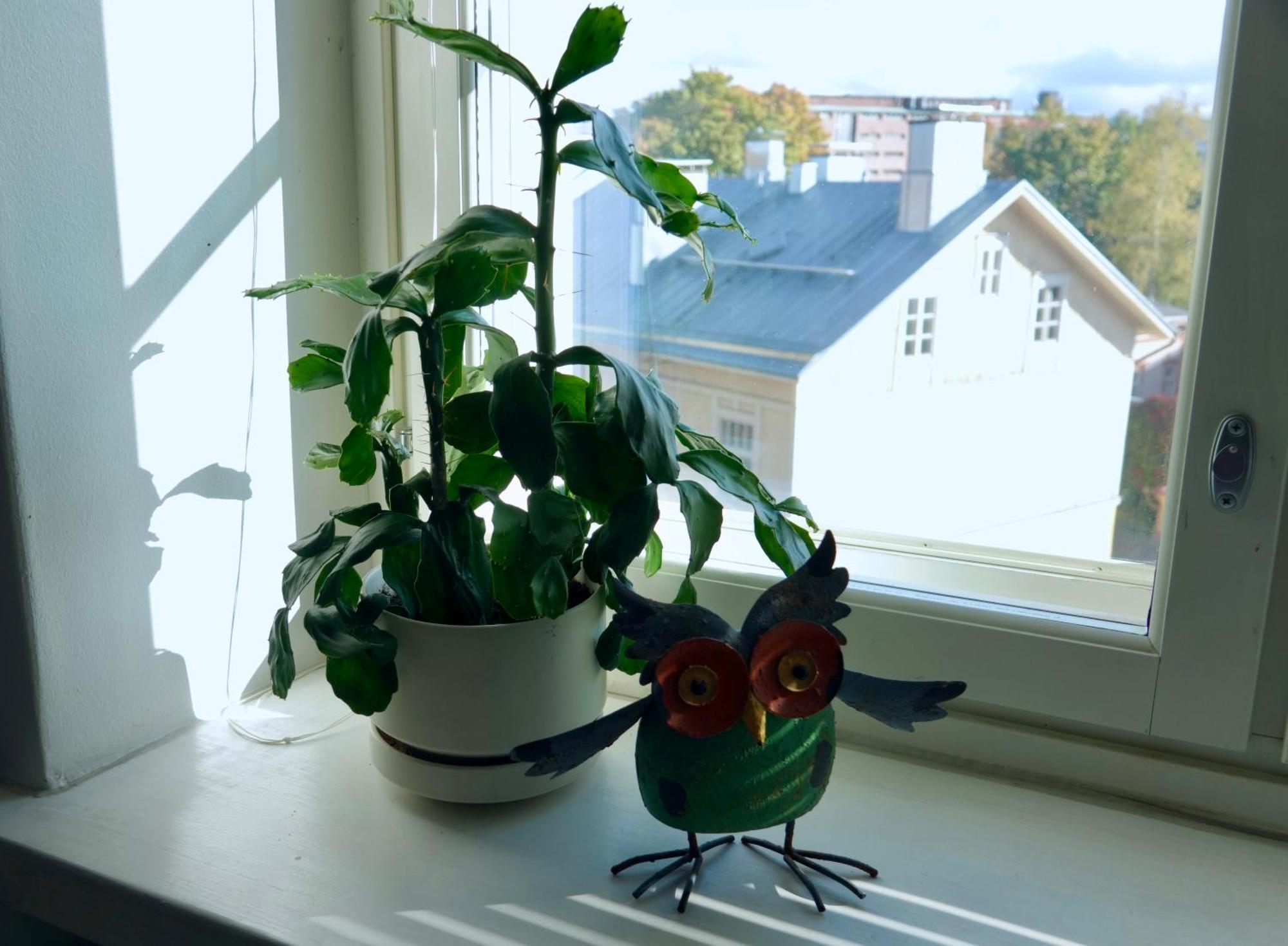 Charming City Studio Tampere Zewnętrze zdjęcie
